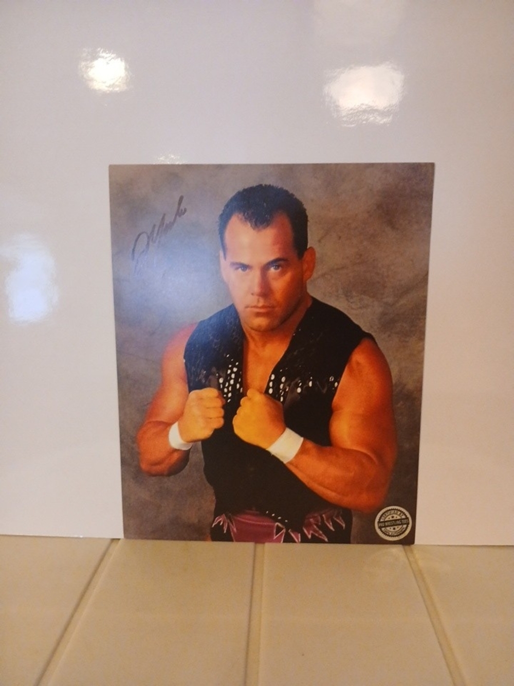 DEAN MALENKO AUTOGRAPHED 8X10 COLOR PHOTO (FRAMED & MATTED) - WWF / WCW!